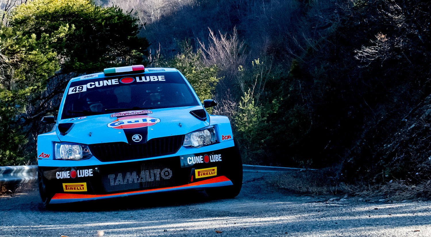 Alessandro Gino & Danilo Fappani - Skoda Fabia, Gap, France, 2019